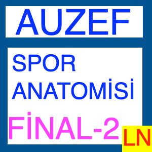 At Anatomisi Sınavı +2 Bonus StudyBlaze.