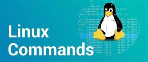 At command.  This comprehensive guide covers the basics, standardized and m...