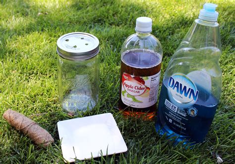 At home fly trap. Fortunately, homemade fly traps effectively trap and destroy nuisance gnats, and many bait options are available. As a rule, anything sweet like sugar water, … 