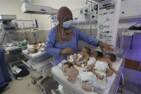 At least 30 premature babies have been evacuated from Gaza’s main hospital and are bound for Egypt