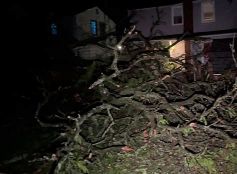 At least five killed in severe storms in Michigan