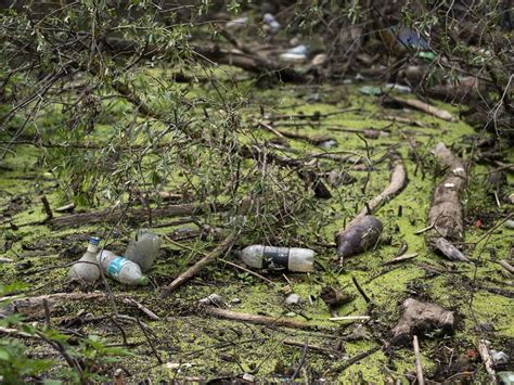 At talks on cutting plastics pollution, plastic credits are on the table. What are they?