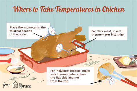 At which temperature can cooked chicken breast be hot held. Learn how to cook chicken to the correct temperature every time with this guide from Food Network Healthy Eats. Find out the USDA-recommended minimum internal temperature for chicken and … 