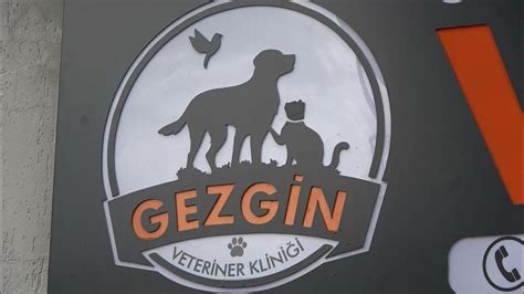 Ataşehir belediyesi veteriner telefon numarası