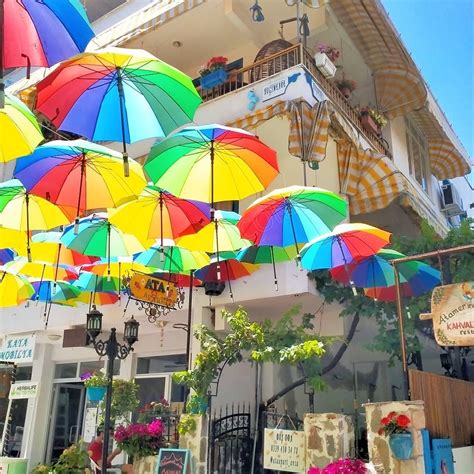 codini.rgarabwor.edu.pl. 