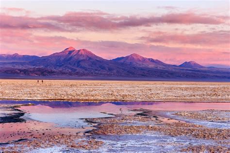 Atacama desert latin america. It extends approximately 2,700 miles (4,300 km) from its boundary with Peru, at latitude 17°30′ S, to the tip of South America at Cape Horn, latitude 56° S, a point only about 400 miles north of Antarctica. A long, narrow country, desert Summary. Desert, any large, extremely dry area of land with sparse vegetation. 