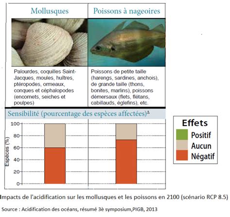 Atelier de planification sur les mollusques et la pollution marine. - Solution manual for applied statistics probability for.