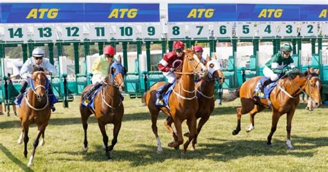 Atg ombud södermalm