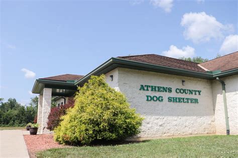 Athens county dog shelter. SHELTER INFORMATION Athens County Dog Warden 13333 State Route 13 Athens, OH 45719 Email: ACDS@athensoh.org P: 740-593-5415 F: 740-797-8370 Population: 64681 