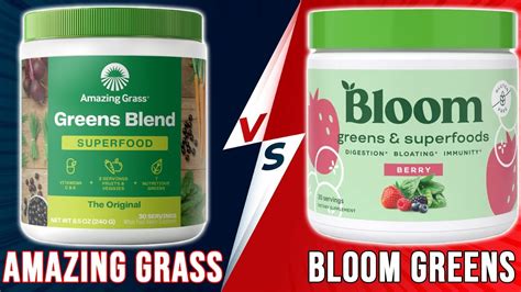 Athletic Greens vs. Amazing Grass vs. Organifi vs. Bloom: Which …