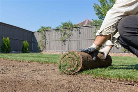 Atlanta Sod Farms - How to Care for Zeon Zoysia? A …