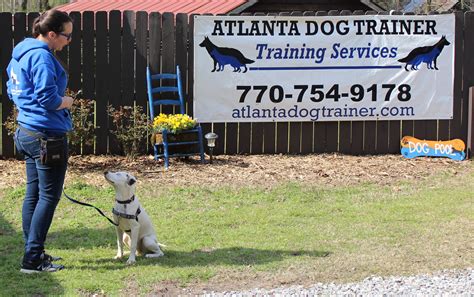 Atlanta dog trainer. Dog obedience classes are held near Marietta, GA on a consistent basis and are included in most packages. Our dog obedience training classes are designed to place yourself and your dog in public places (surrounded by other dogs, people, smells, and sounds)! Socialized Group Training. Request your own. FREE In-Home Dog Training Evaluation. 
