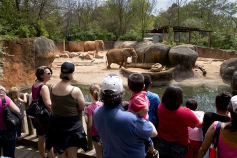 Atlanta fulton county zoo. Activities will take place from 10 a.m. to 2 p.m. and are free for Zoo Atlanta Members and children under 3; free with general admission. Learn more here. WHEN: Saturday, March 11, 2023. WHERE: Zoo Atlanta. 800 Cherokee Avenue, S.E. Atlanta, GA 30315. Educator Appreciation Day offers free … 
