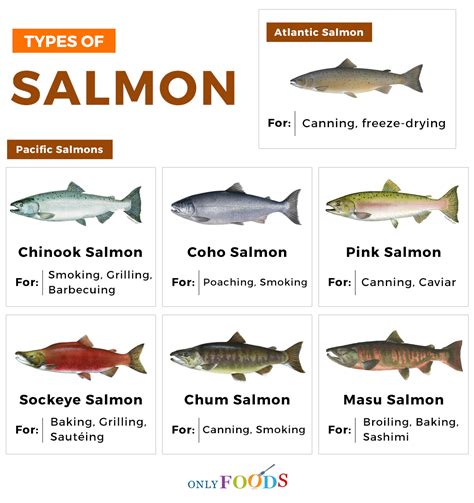 Atlantic salmon - Rating ID: 369 Good Fish Guide