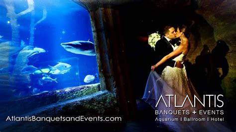 Atlantis events. LOUIS VUITTON 