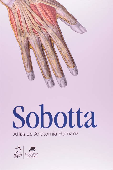 Atlas de anatomi a humana sobotta. - Anwendung von geotextilien und geogittern im erd- und wasserbau.