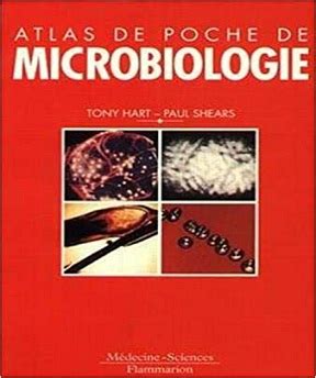 Atlas de couleurs et manuel de microbiologie diagnostique 5ème édition. - Auf dem weg zu einer handgreiflichen utopie.