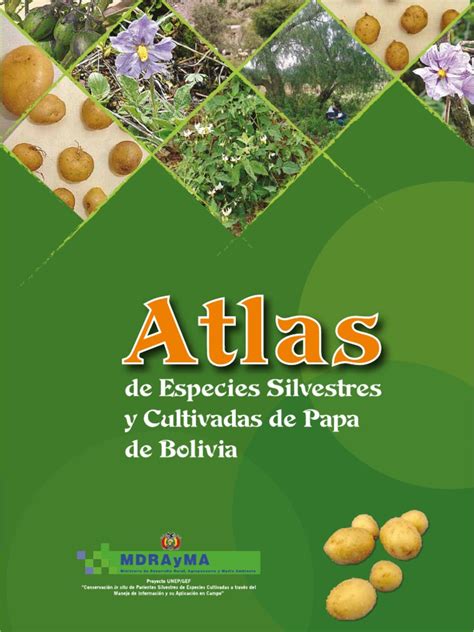Atlas de especies silvestres y cultivadas de papa de bolivia. - The mad monksguide to new york city the mad monks guides.