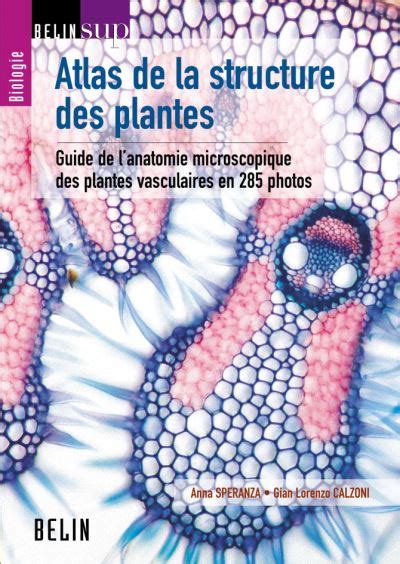 Atlas de la structure des plantes guide de lanatomie microscopique des plantes vasculaires en 285 photos. - Toshiba e studio 166 service manual free download.