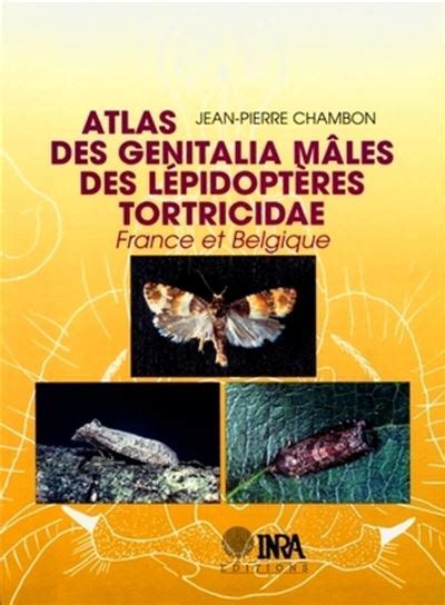 Atlas des genitalia mâles des lépidoptères tortricidae de france et belgique. - Ingeniero en general por gordon cameron.