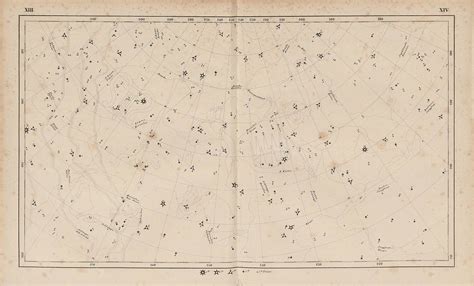Atlas des nördlichen gestirnten himmels für den anfang des jahres 1855. - Flower en el tataranieto del coyote.