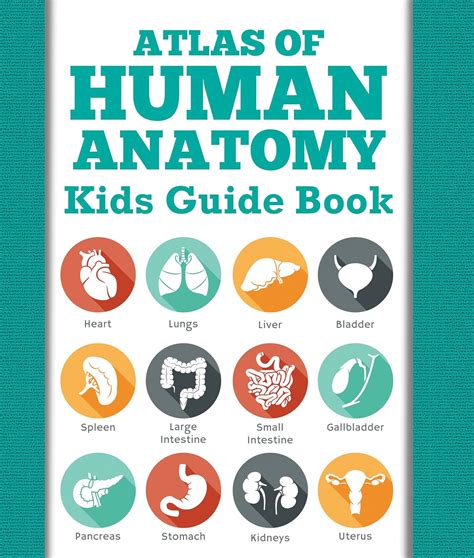 Atlas of human anatomy kids guide book body parts for kids childrens anatomy physiology books. - Cartas edificantes, y curiosas, escritas de las missiones estrangeras.