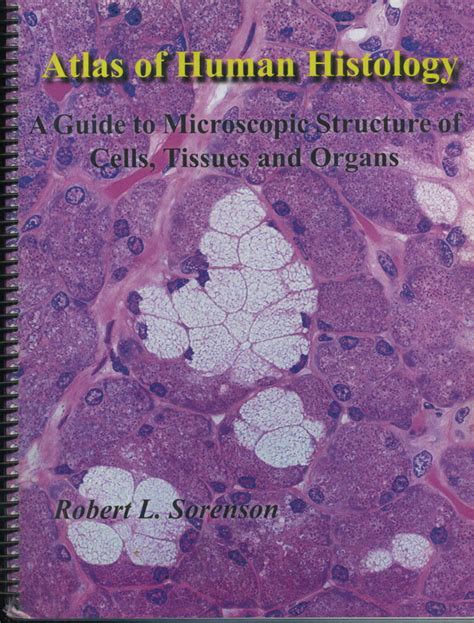 Atlas of human histology histology guide. - Nursing second edition the ultimate study guide.