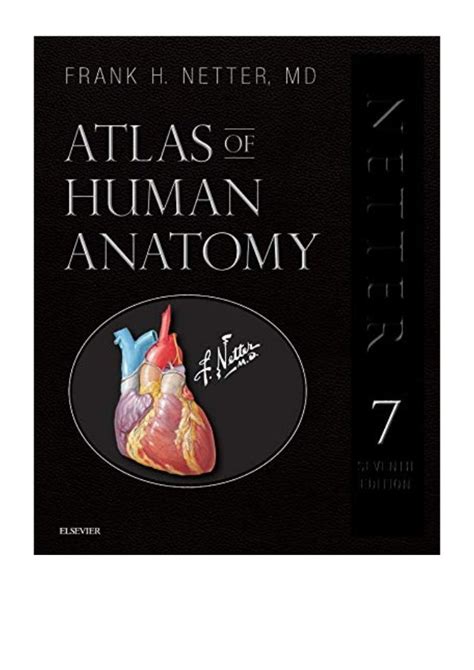 Read Online Atlas Of Human Anatomy Professional Edition Netter Clinical Science By Frank H Netter