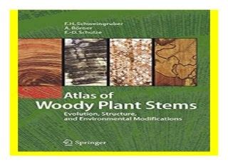Read Online Atlas Of Woody Plant Stems Evolution Structure And Environmental Modifications By Fritz Hans Schweingruber