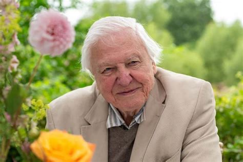 Attenborough&rsquo;s Last Encounter with Lonesome George - PBS