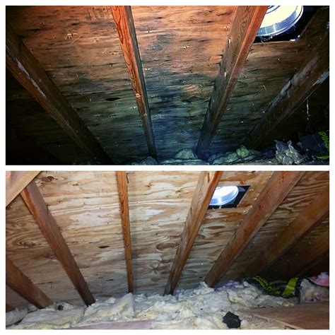 Attic mold treatment. Prevent Mold with a Solar Attic Fan. My #1 solution to preventing mold in your home is ensuring your attic has adequate ventilation with a solar attic fan. A solar attic fan continuously expels moist air during the summer and damp winter months. Since it’s powered by the sun, a solar attic fan will never lead to a spike in your electric bills ... 