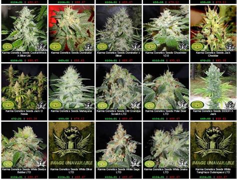 Attitude seed bank. Ratings. 1. I Love Growing Marijuana Reviews. 4.8/5 (1,106) 2. Sensible Seed Bank Reviews. 4.7/5 (273) 3. The Vault Cannabis Seeds Store Review. 