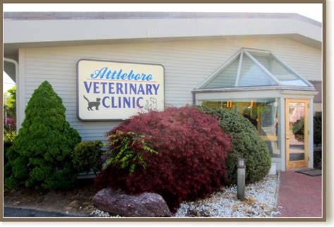 Attleboro vet. Attleboro Veterinary Clinic provides full-service veterinary services to Attleboro area pets. P: (508) 226–8046 | E: [email protected] 179 North Main Street Attleboro, MA 02703 