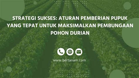 4 jenis kandang sapi perah yang perlu anda ketahui