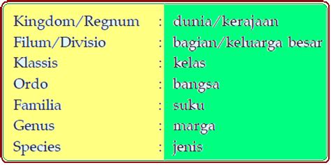 Daftar harga tas ransel eiger wanita