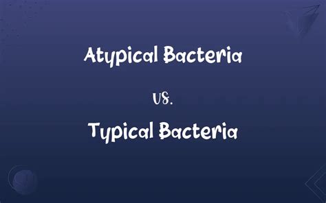 Atypical bacteria - Wikipedia