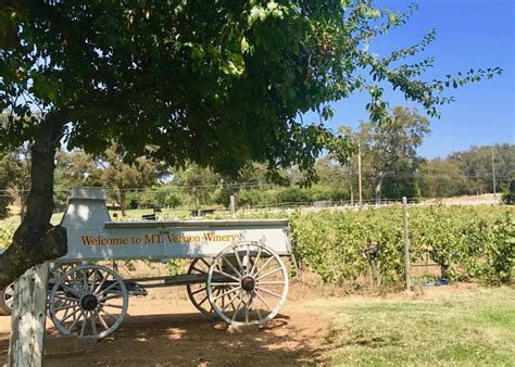 Auburn winery. Wineries & Vineyards. Closed now. 12:00 PM - 5:00 PM. Write a review. About. A small, family-owned winery located in the Sierra Foothills just outside Auburn, CA. Come visit and … 