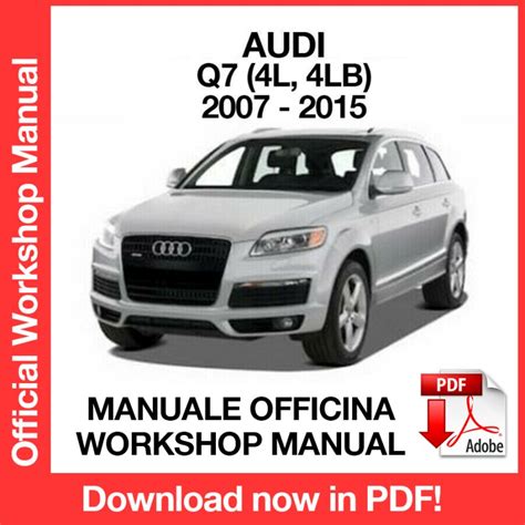 Audi q7 30 tdi manuale di servizio. - Instructor manual for financial markets and institutions.