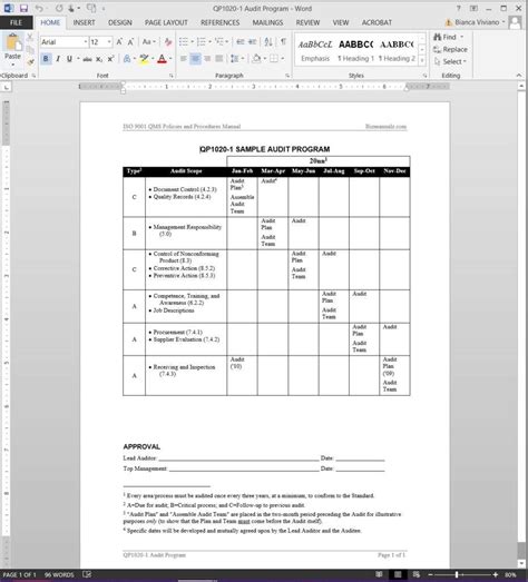 Audit Program ISO Template