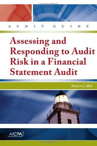 Audit guide assessing responding to audit risk in a financial statement audit. - Manual focus lens on nikon d3100.