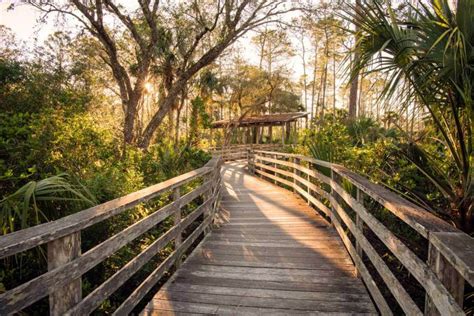 Corkscrew Swamp Sanctuary is a 13,000 acre Preserve. The Sa