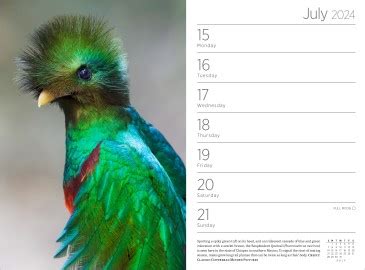 Full Download Audubon Engagement Calendar 2020 By Workman Publishing