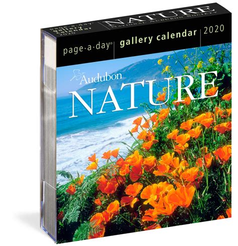 Download Audubon Nature Pageaday Gallery Calendar 2020 By National Audubon Society