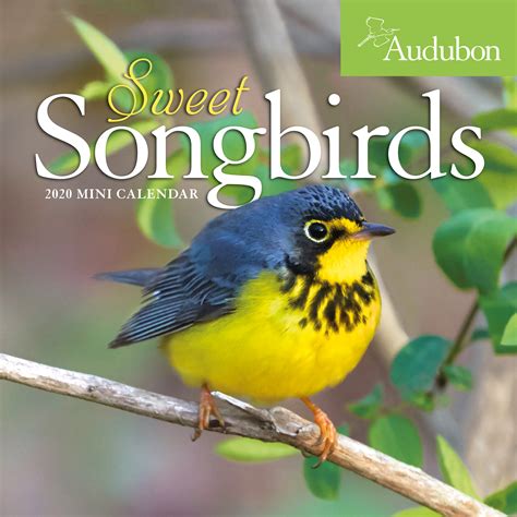 Full Download Audubon Sweet Songbirds Mini Wall Calendar 2020 By Workman Publishing