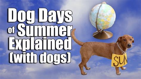 August forecast: Any break from the dog days of summer?