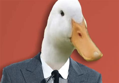 August the duck. August Bruce (born: April 3, 2002 [age 20]), better known online as AugustTheDuck, is an American YouTuber most known for his comedic commentary and reaction videos. Contents 1 Content 