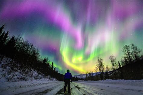 Aurora lights tour. Yukon's most trusted wilderness tours. Journey into beautiful Yukon with our Aurora Borealis tours, winter experiences, and day actives like dog sledding, ... 