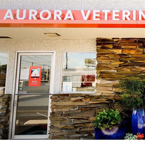 Aurora vet clinic. Aurora Vet Clinic. Address. Old Stoneywood Church, Bankhead Road, Aberdeen, AB21 9HQ. Contact Details. Email: enquiries@auroravet.co.uk. Phone: 01224 716848. Opening Times. Monday: 11:00 PM - 10:00 AM. … 