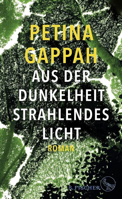 Aus Der Dunkelheit Strahlendes Licht Roman By Gappah