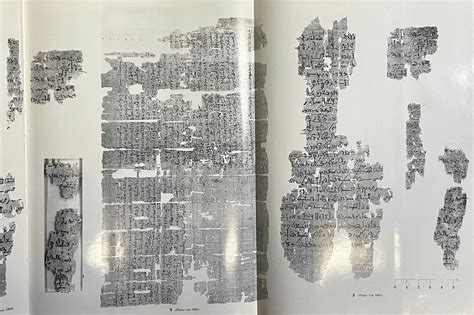 Aus der vorgeschichte der papyrussammlung der österreichischen nationalbibliothek. - Manual instrucciones konica minolta bizhub c220.